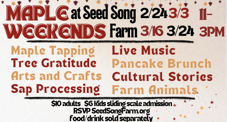 Maple Weekends at Seed Song Farm
