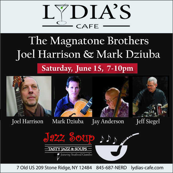 The Magnatone Bros. feat Joel Harrison & Mark Dziuba