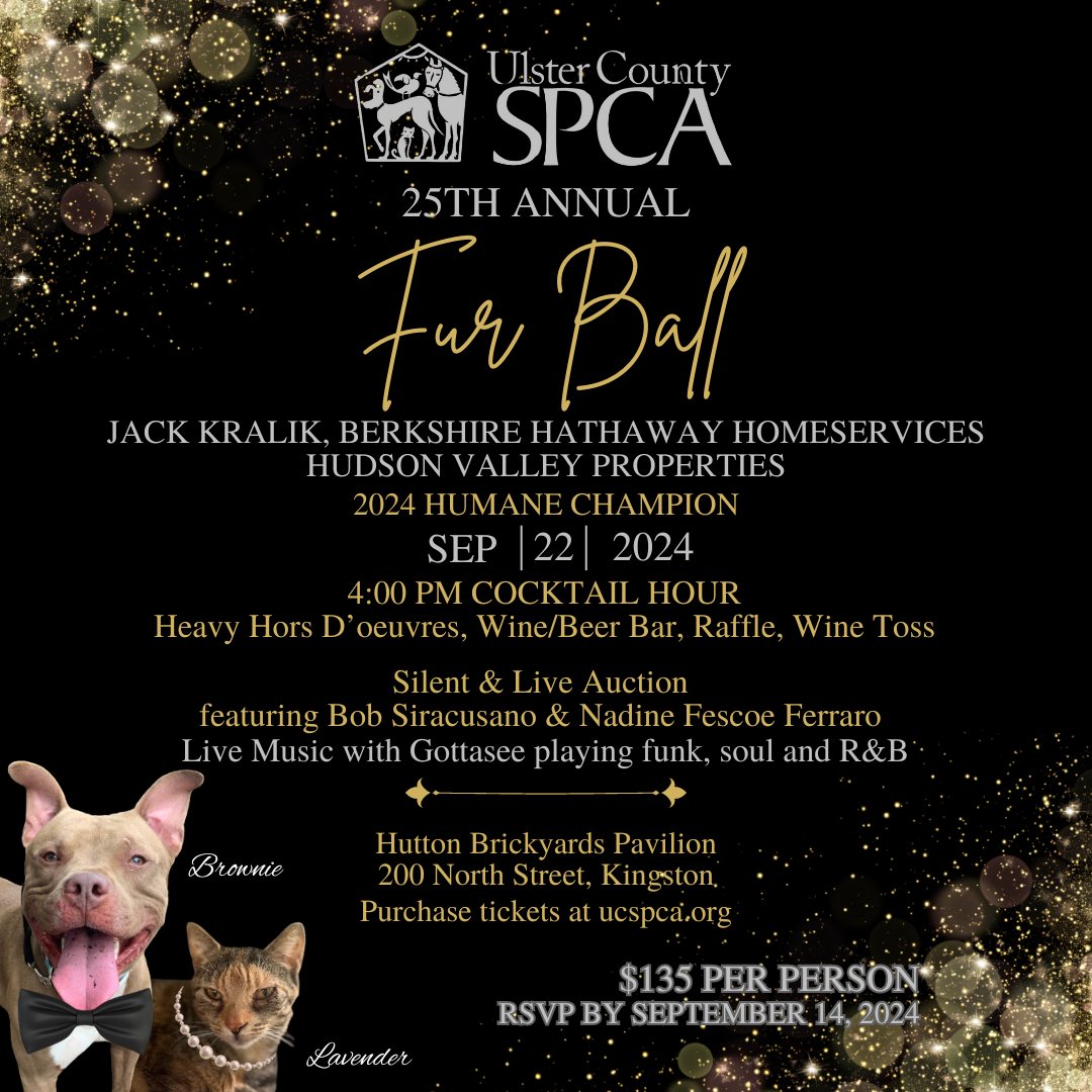 25th Annual Fur Ball