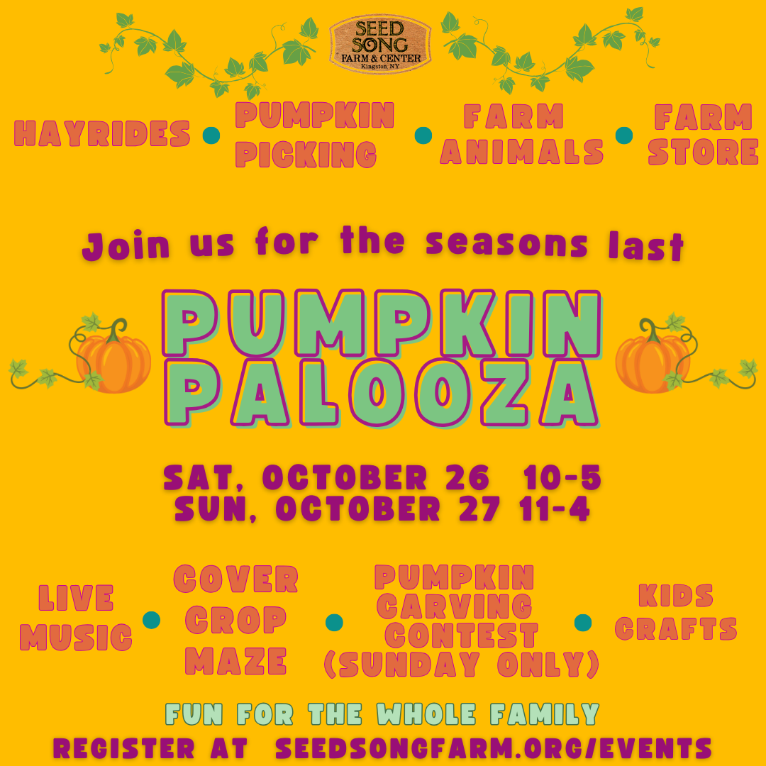 Pumpkin Palooza