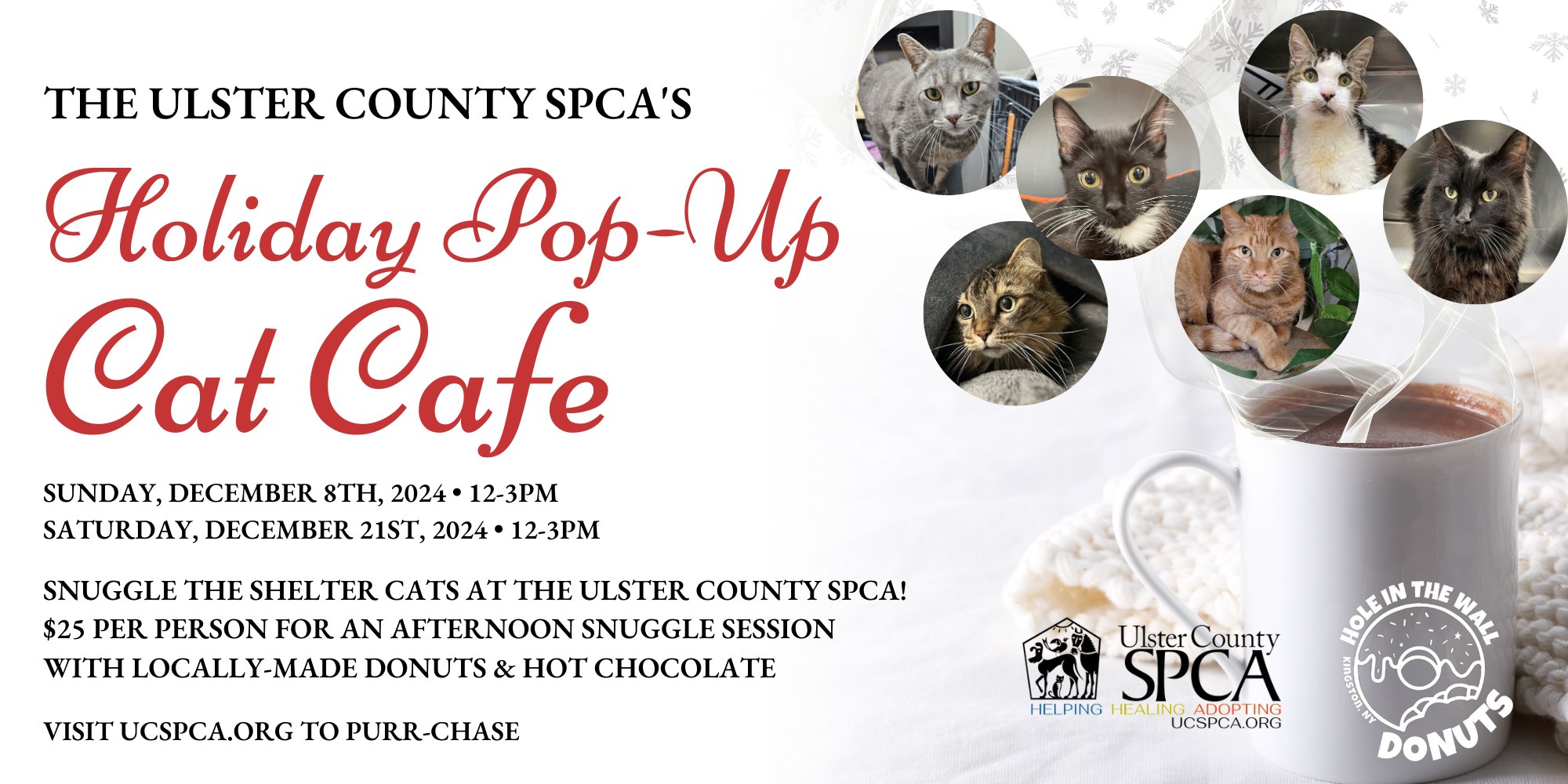 Holiday Pop-Up Cat Café