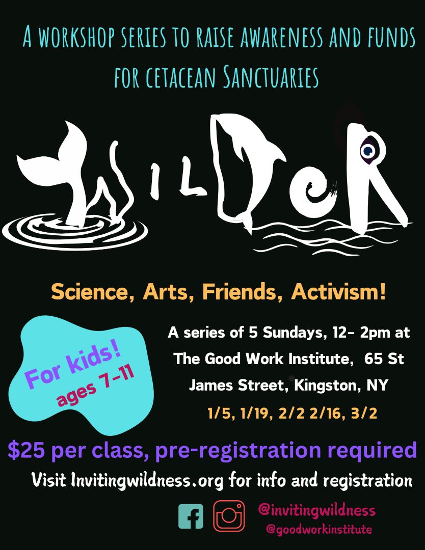 Wilder : A Workshop to Raise Awareness and Funds for Cetacean Sanctuaries -- For Kids!