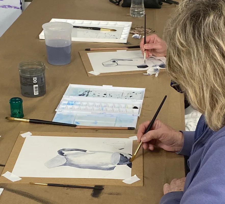 Watercolor Exploration: From Basics to Intermediate