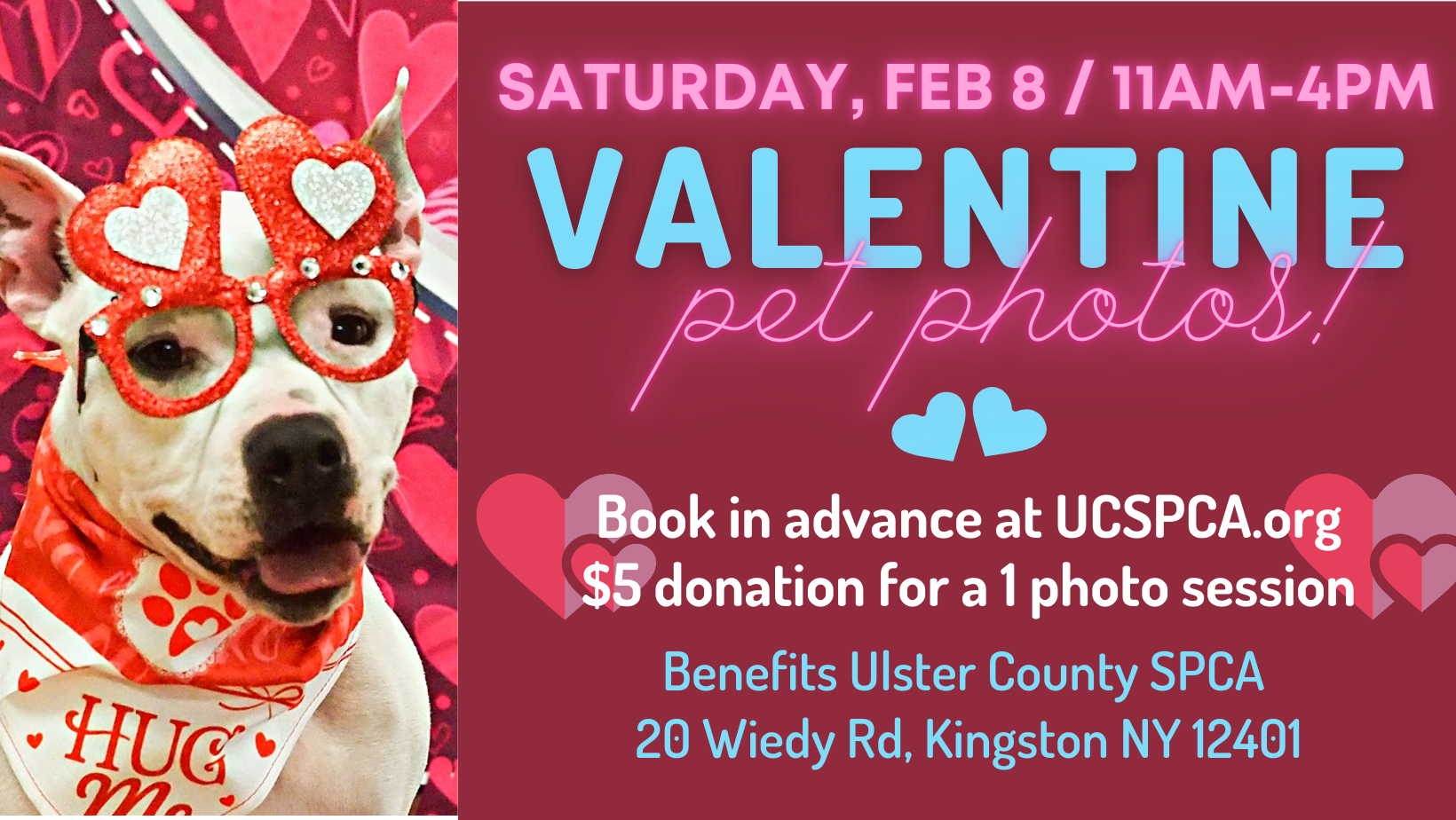 Valentine’s Day Pet Photos