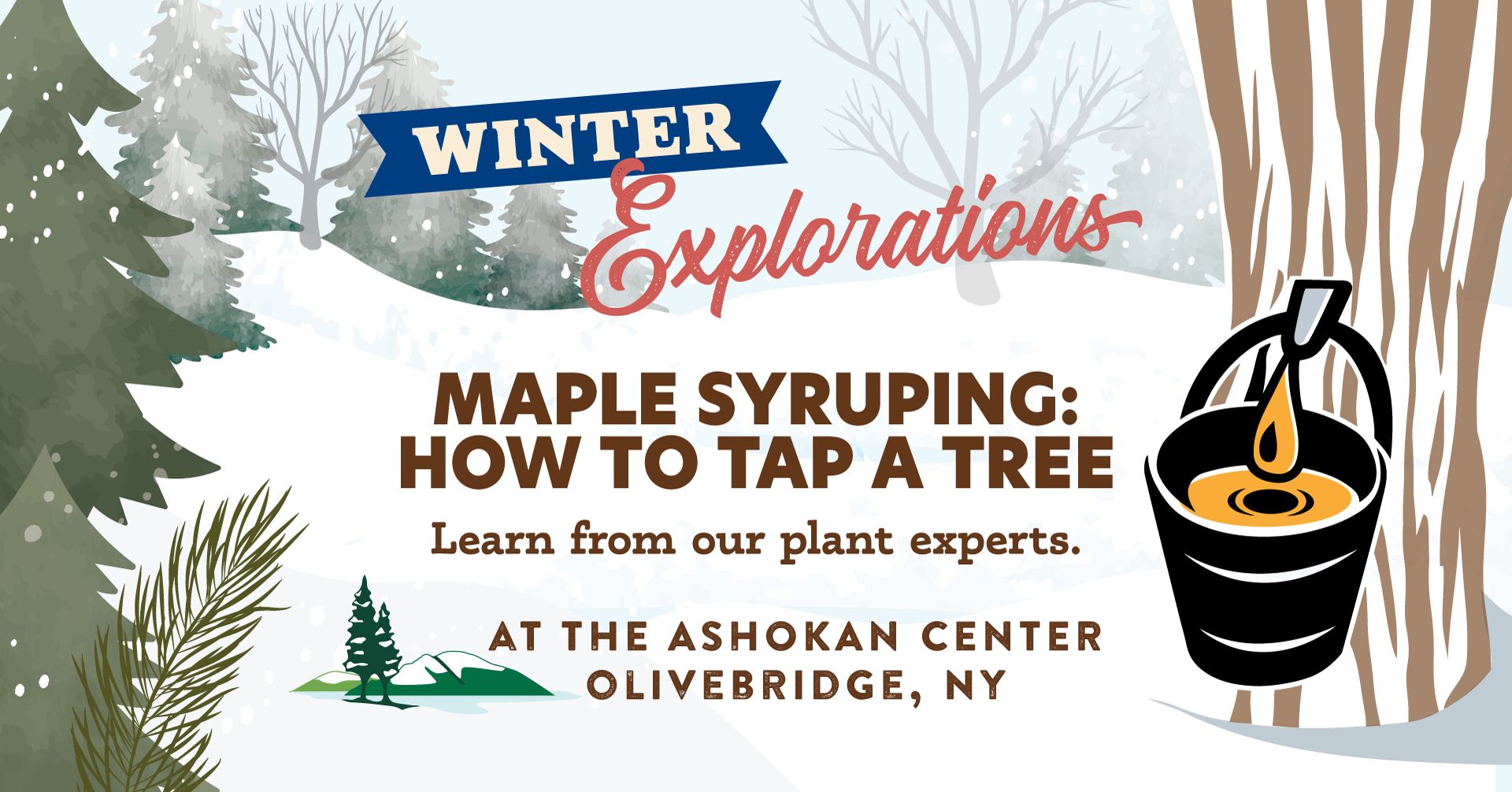 Maple Sugaring: How to Tap a Tree in Your Backyard