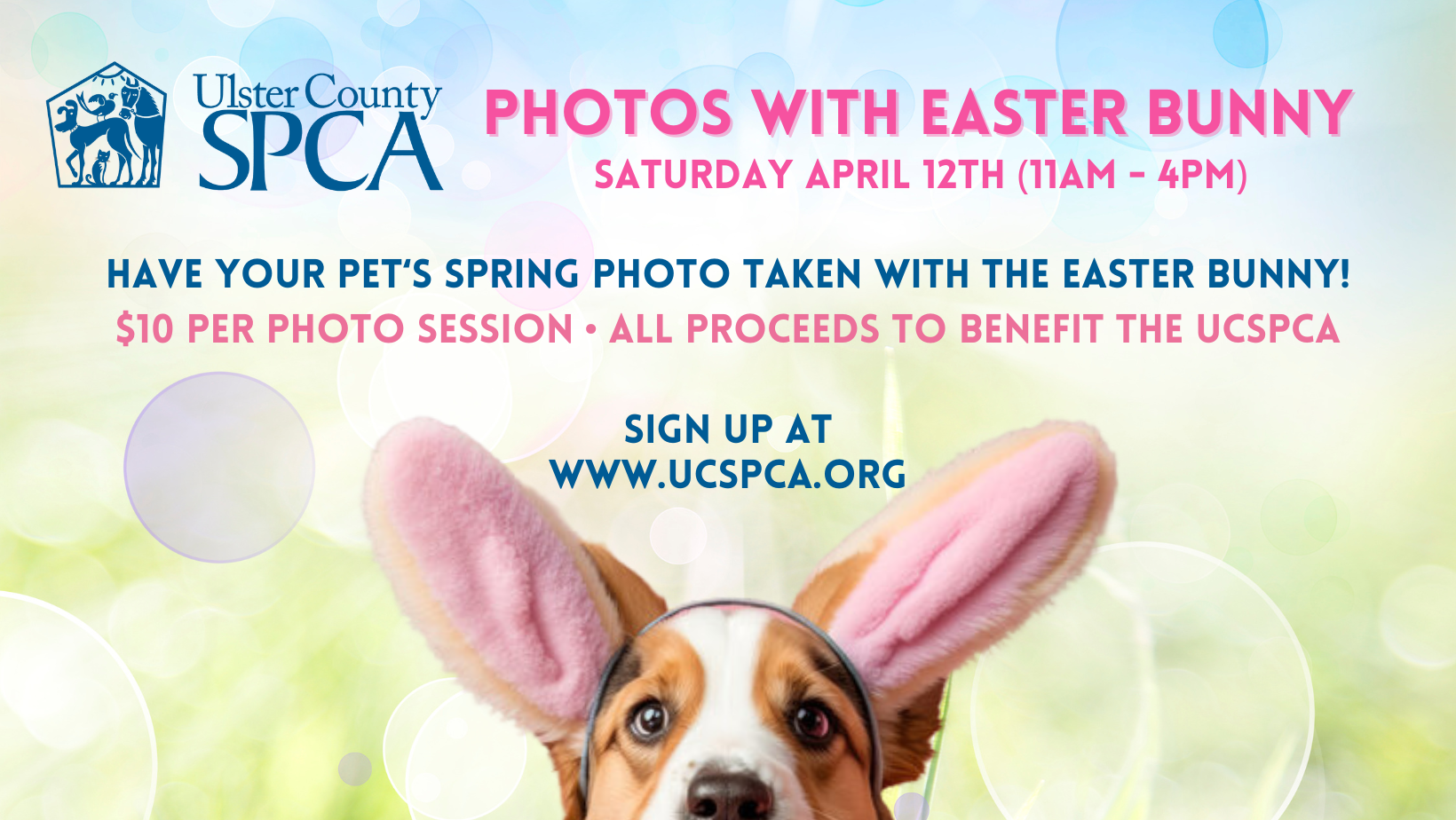 Photos With Easter Bunny