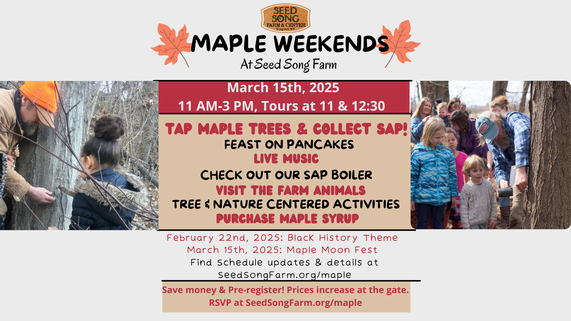 Maple Sugaring at the Farm