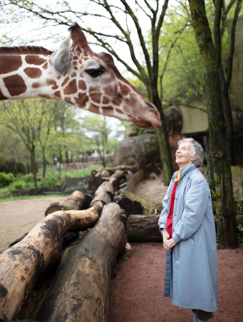 THE WOMAN WHO LOVES GIRAFFES