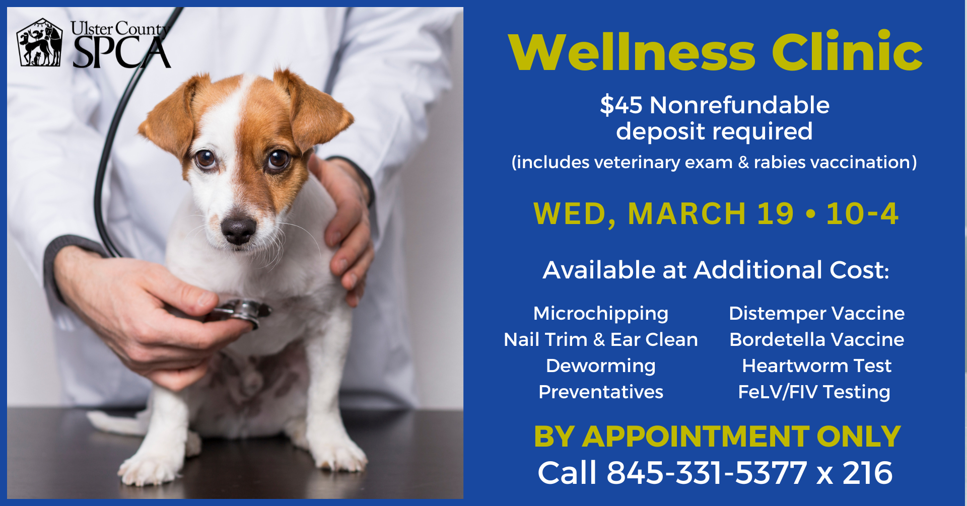 March Wellness Clinic