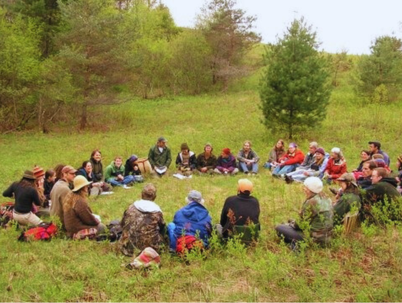 Welcome to Birding with Wild Earth