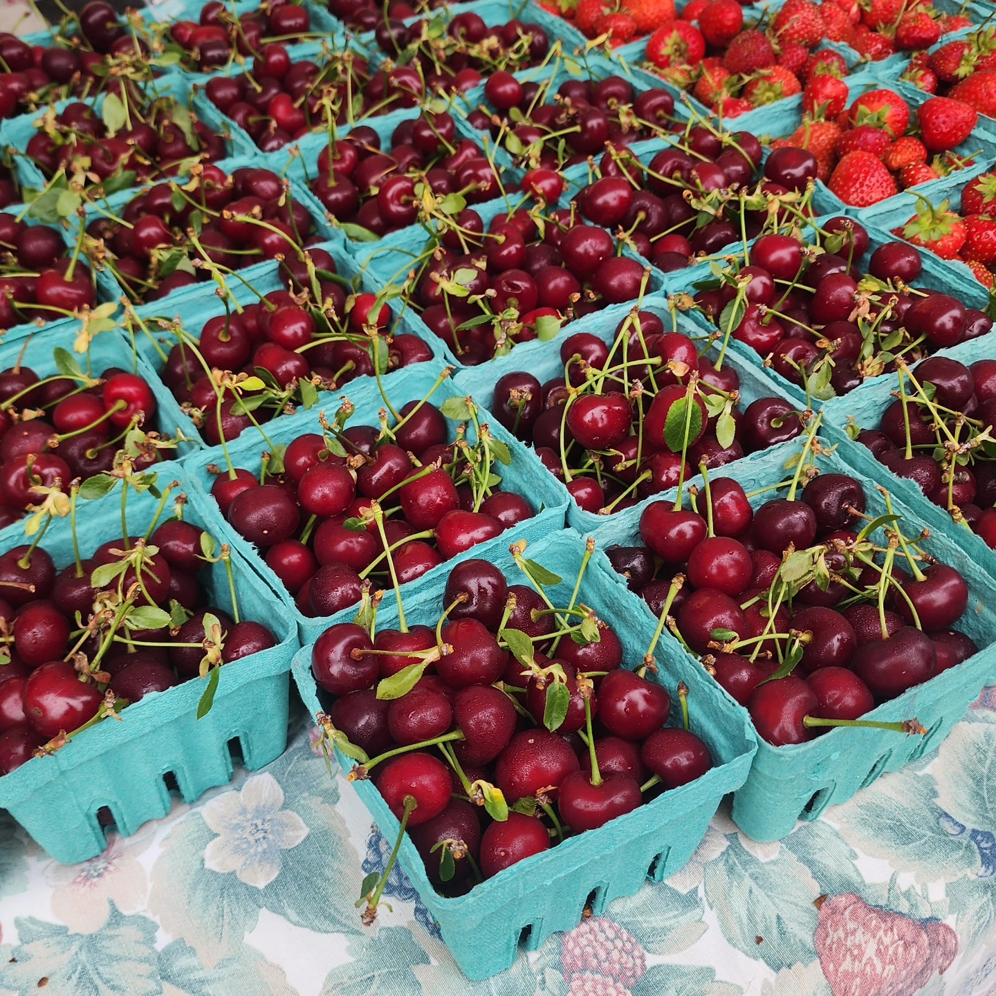 Kingston's Uptown Farmers Market