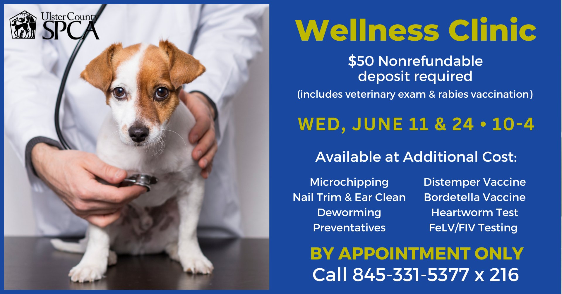 June Wellness Clinic
