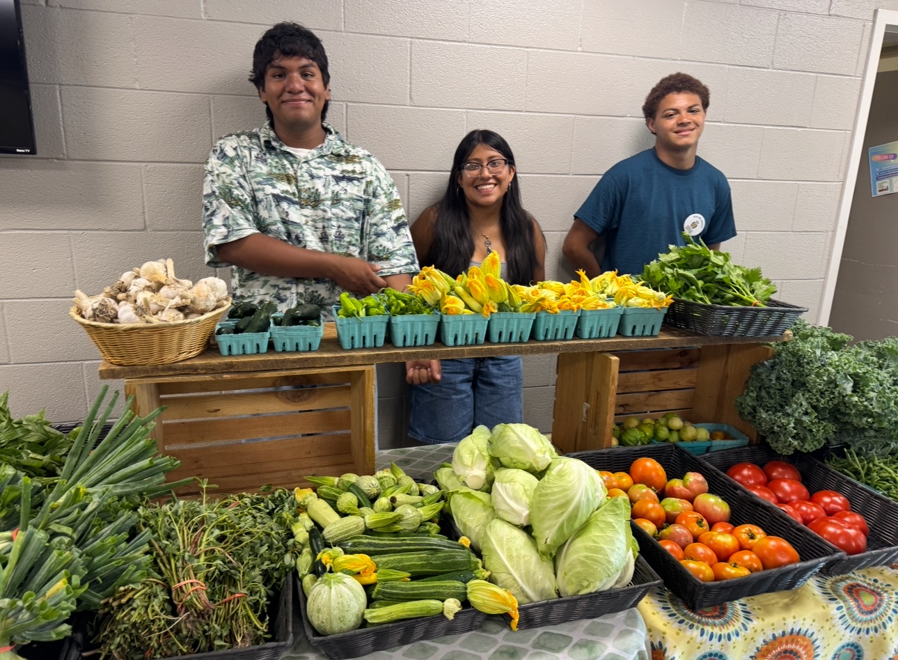 YMCA Farm Stand