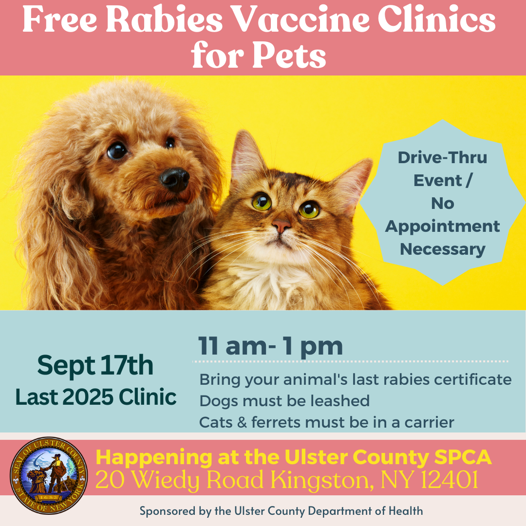 Rabies Clinic