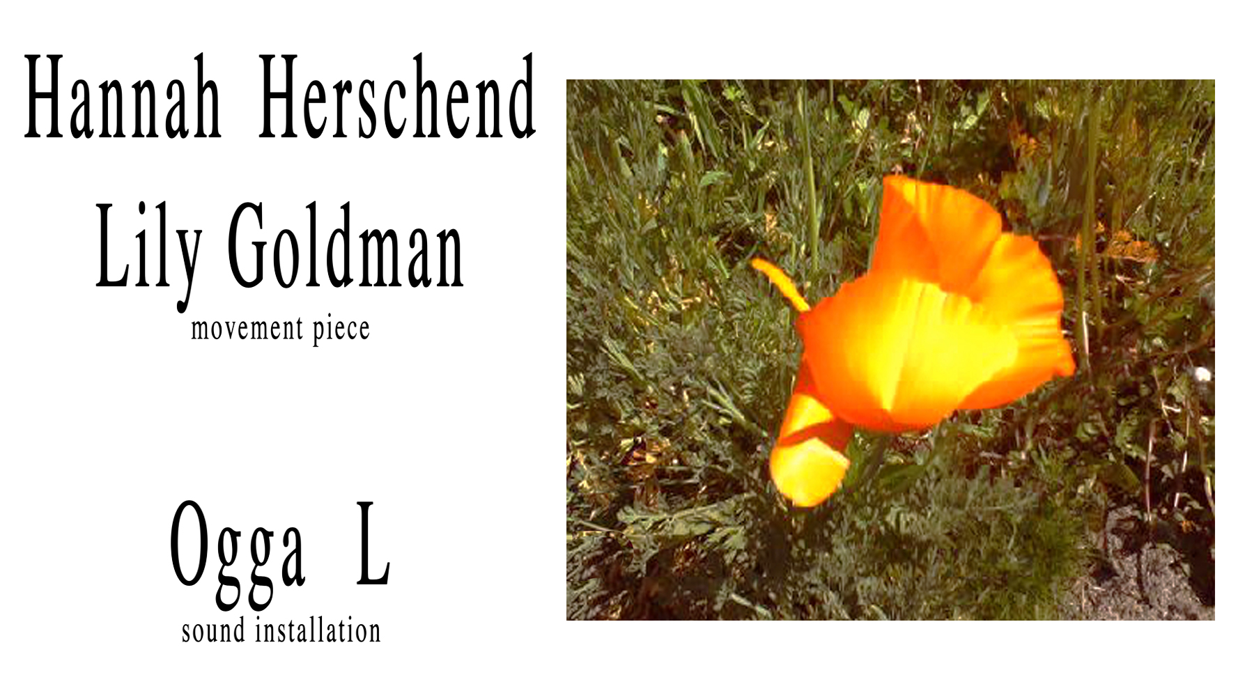 Hannah Herschend/Lily Goldman; Ogga L