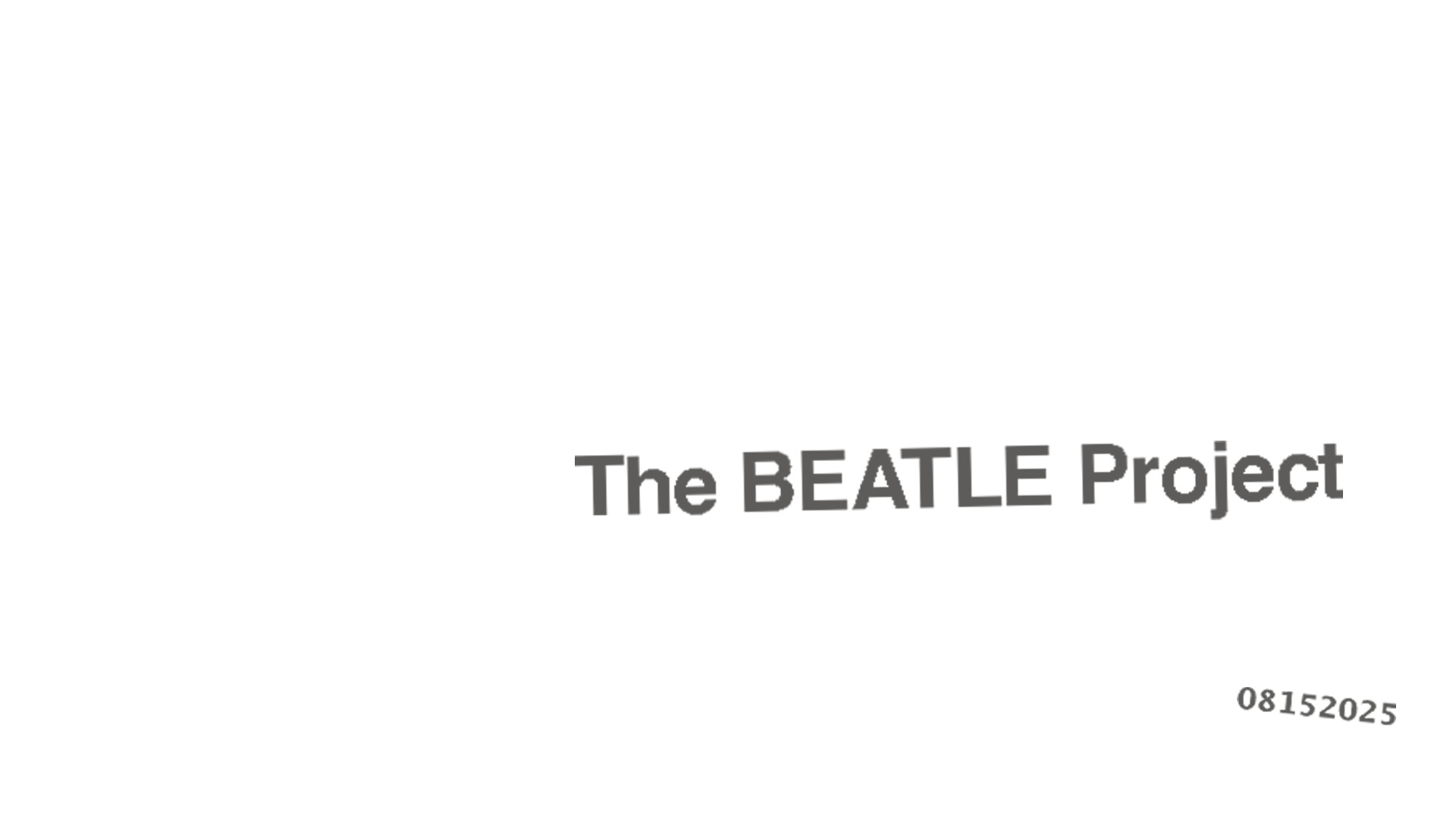 THE BEATLE PROJECT