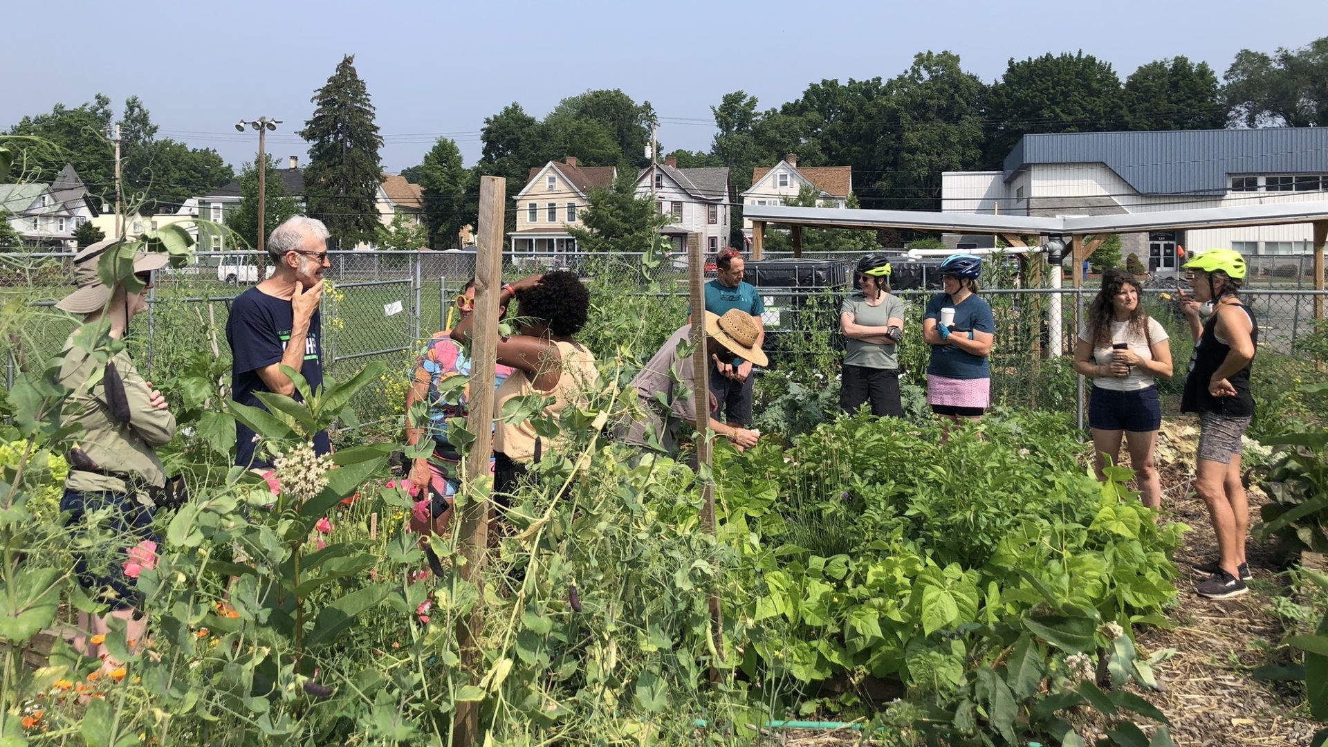 Kingston Community Gardens Tour