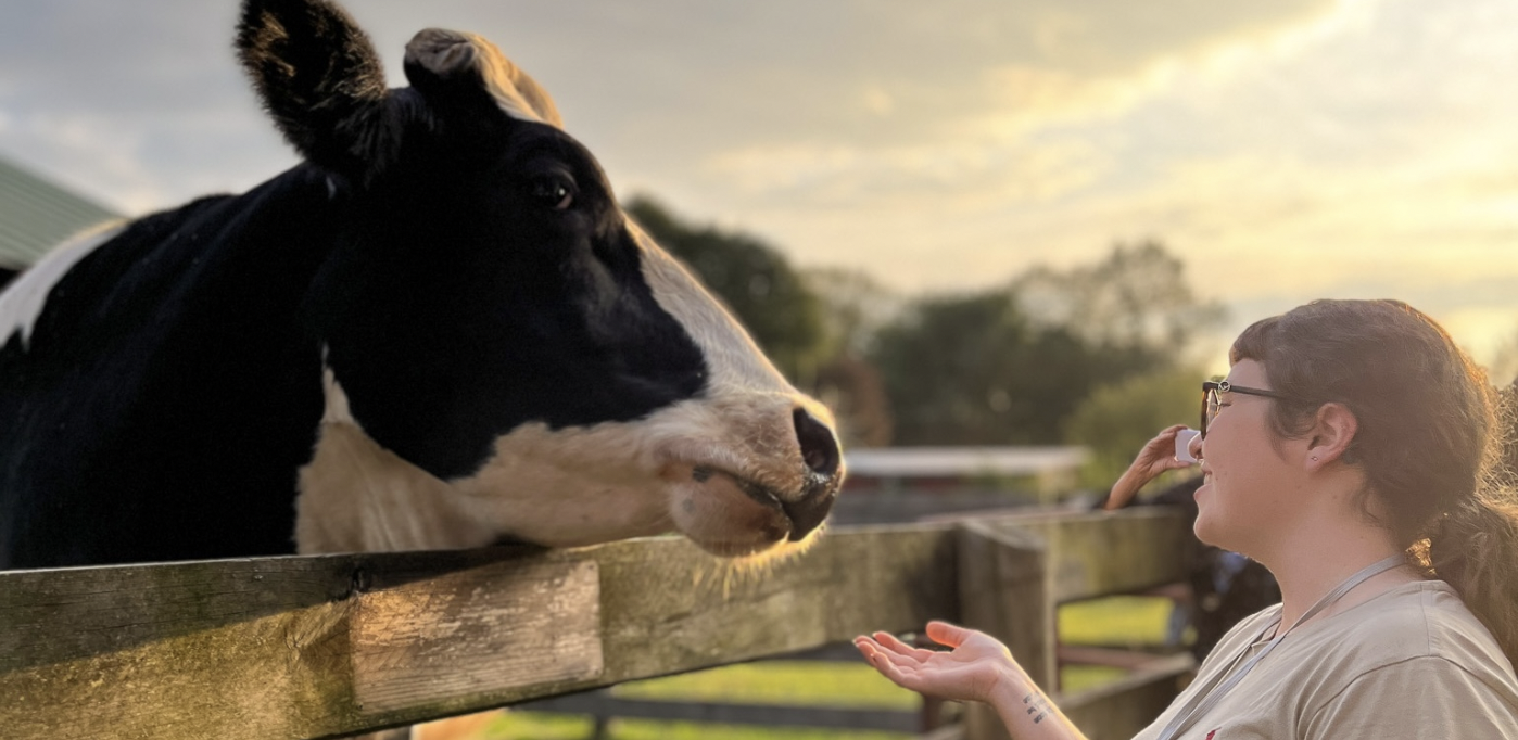 Twilight Tour - Visit the Sanctuary at Sunset!