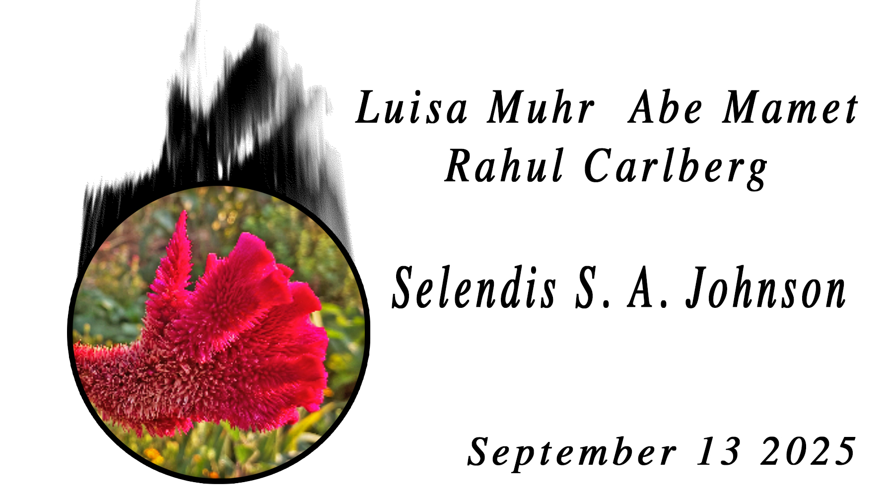 Luisa Muhr/Abe Mamet/Rahul Carlberg; Selendis S. A. Johnson