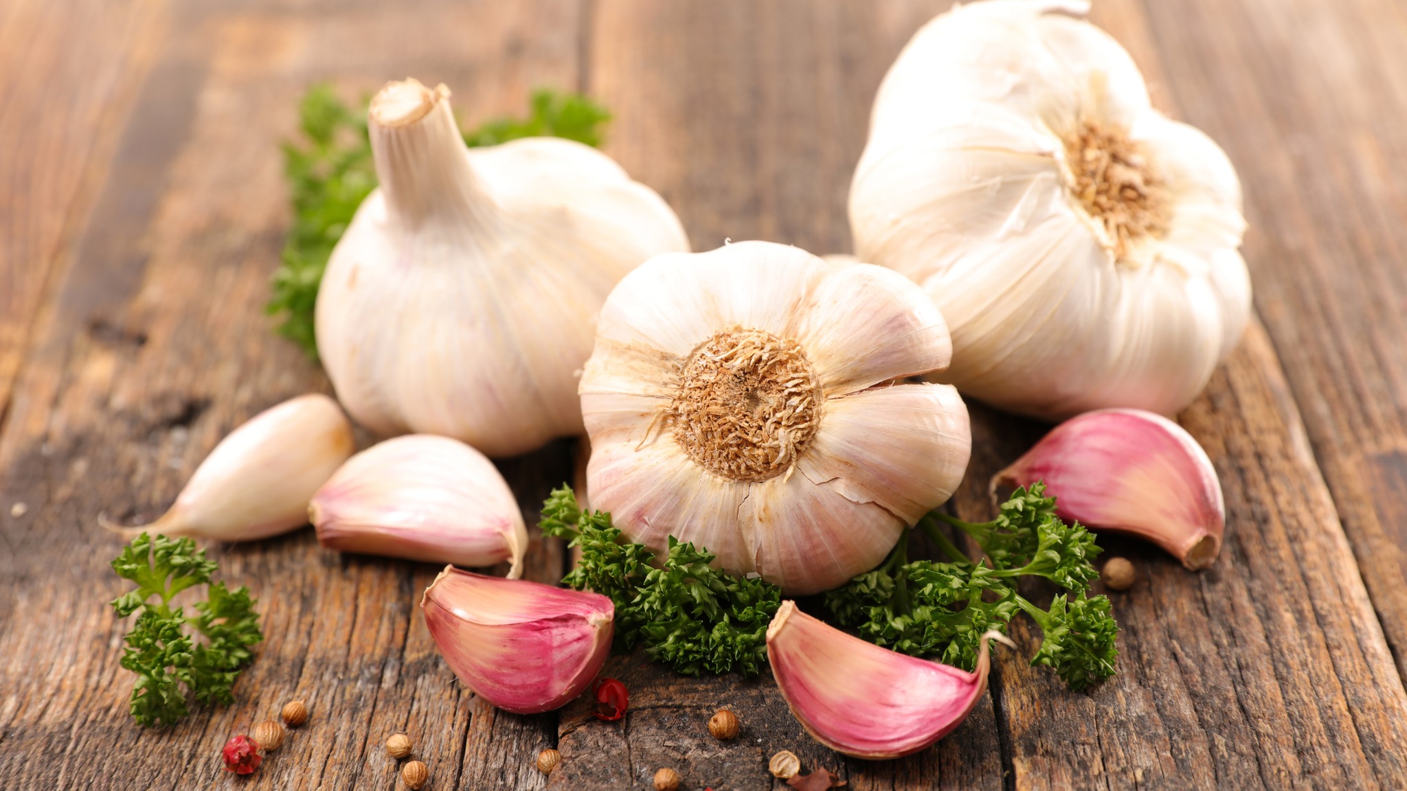 Hudson Valley Garlic Festival