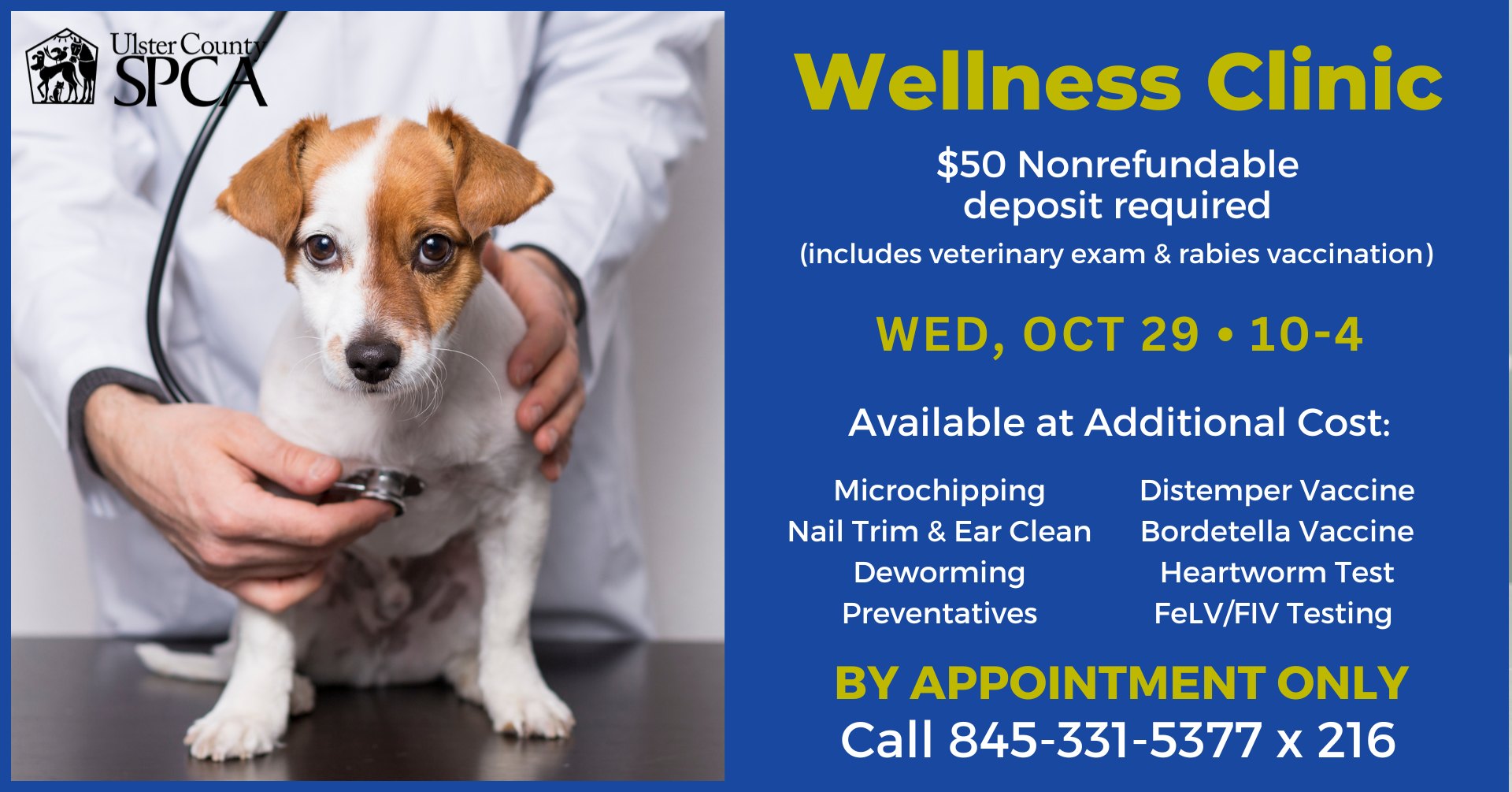 Wellness Clinic