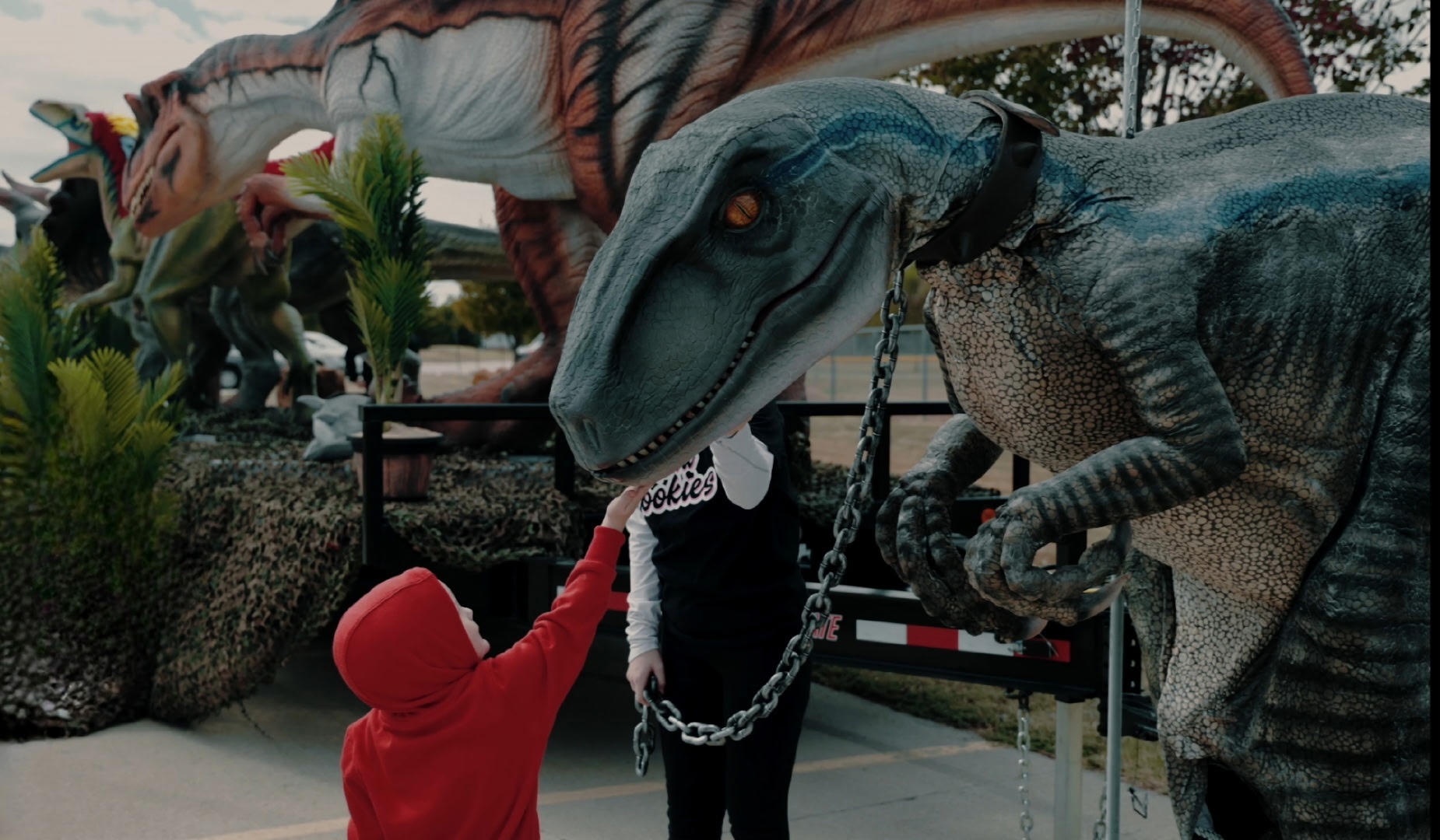 Dinosaurs and I Heart Cookies