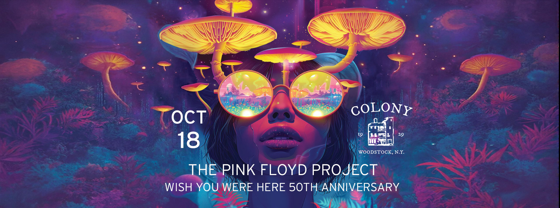 The Pink floyd Project