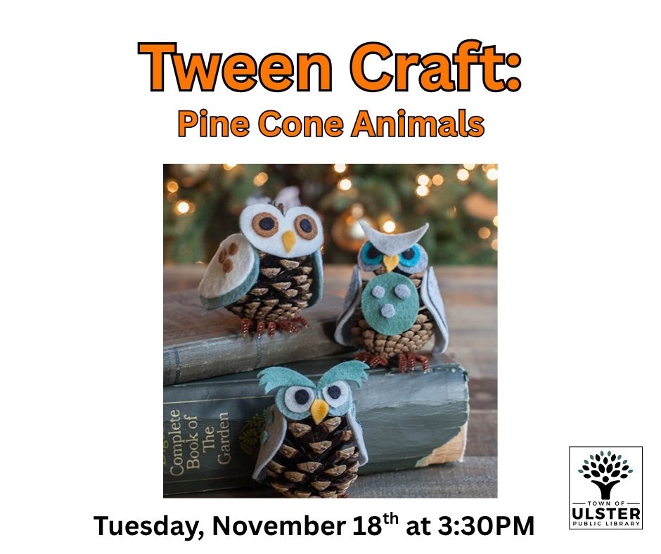 Tween Craft: Pine Cone Animal Crafts