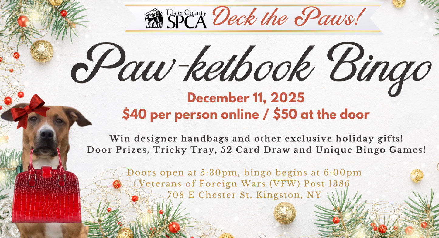 Paw-ketbook Bingo