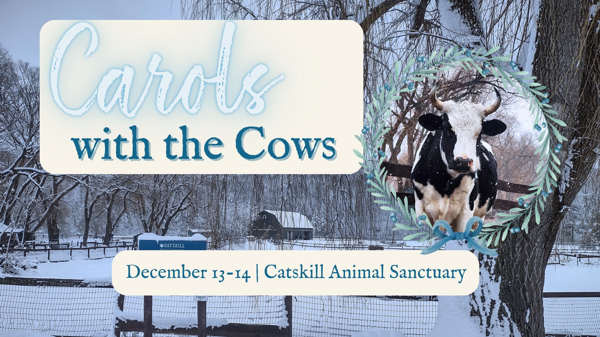 Carols with the Cows