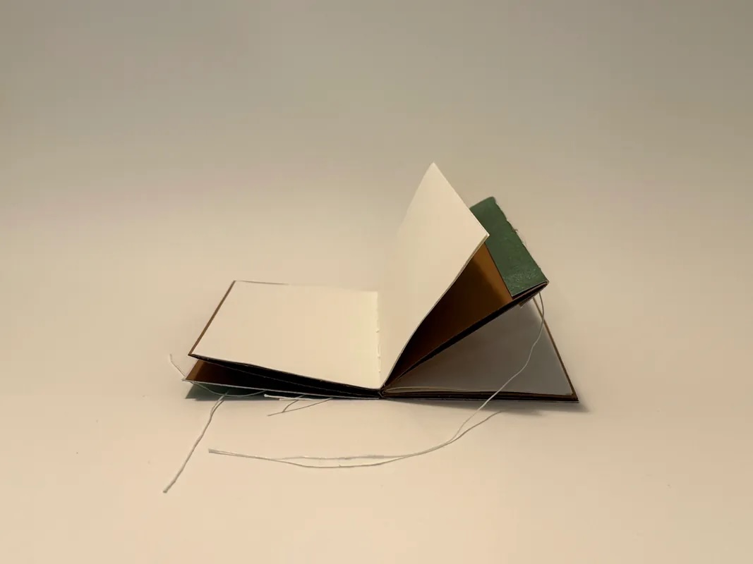 Four Day Class - Intro To Bookbinding: Monotype Accordion Books (NPS)