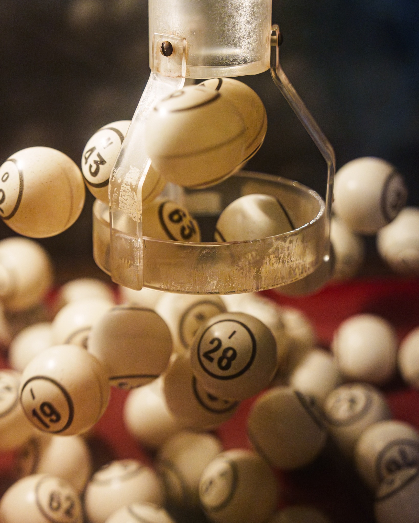 B-I-N-G-O is B-A-C-K