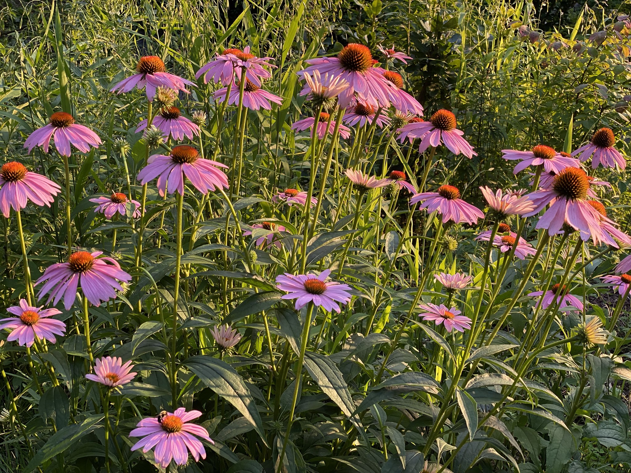 Winter Sowing and Cold Stratification Workshop