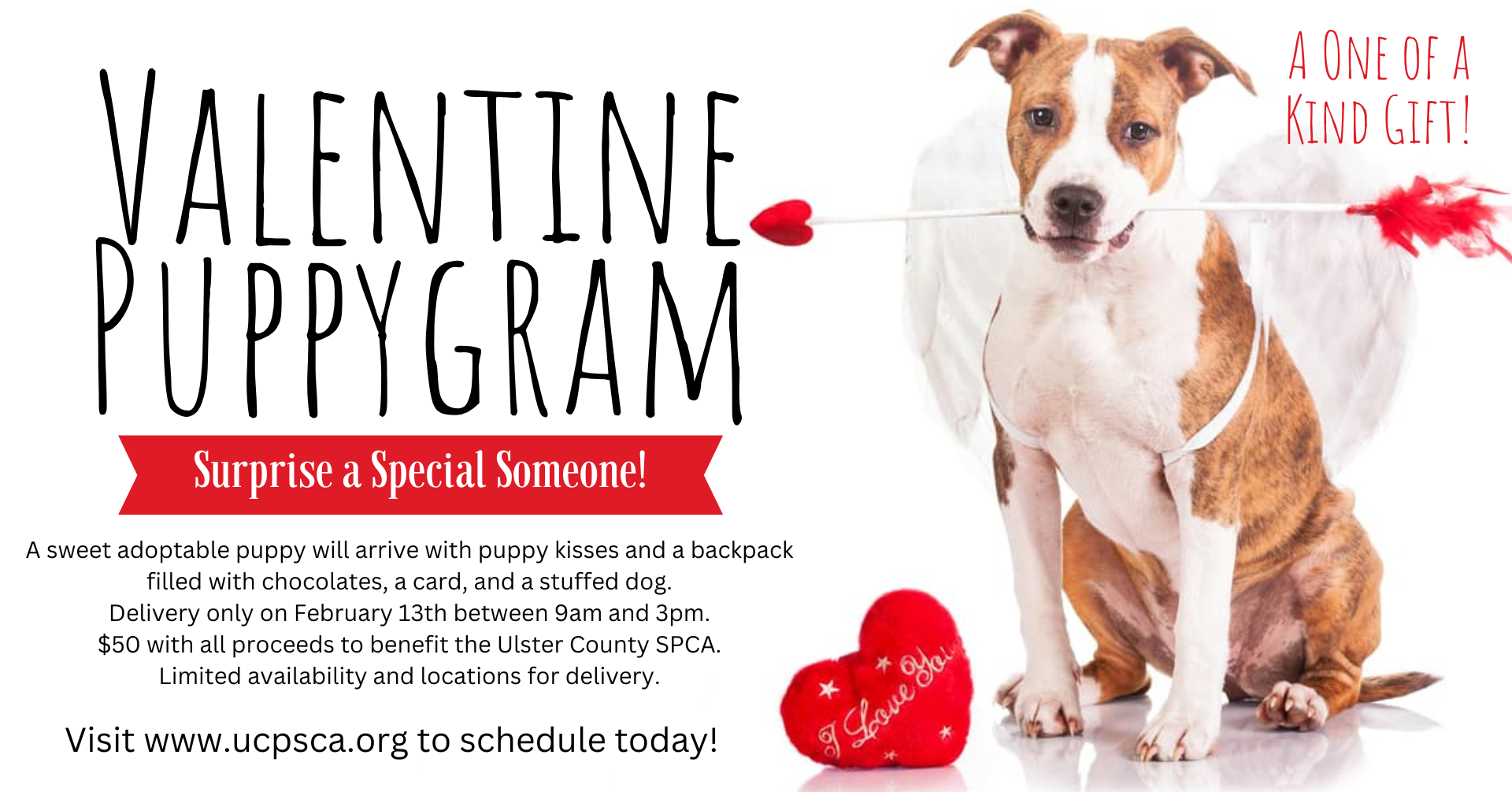 Valentine Puppygram