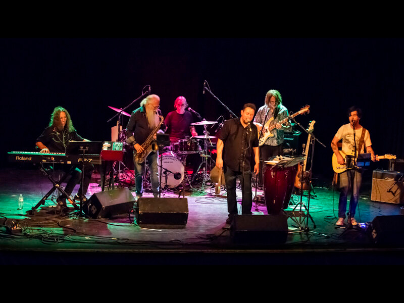 Paper Sun: The Music of Traffic