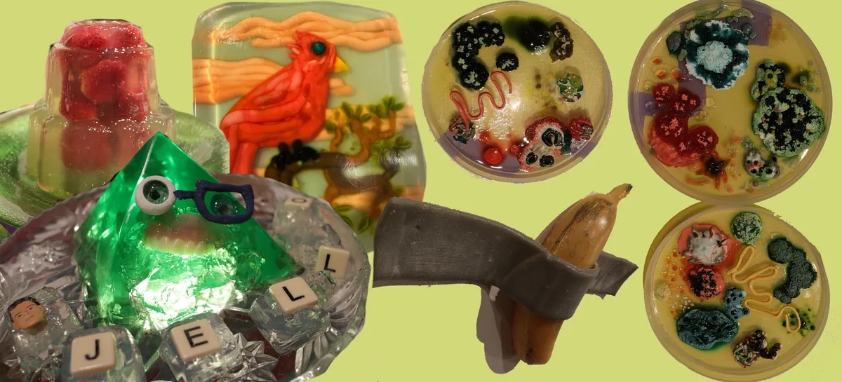 Free One Day Workshop - Jello Sculpture Building (NPS)