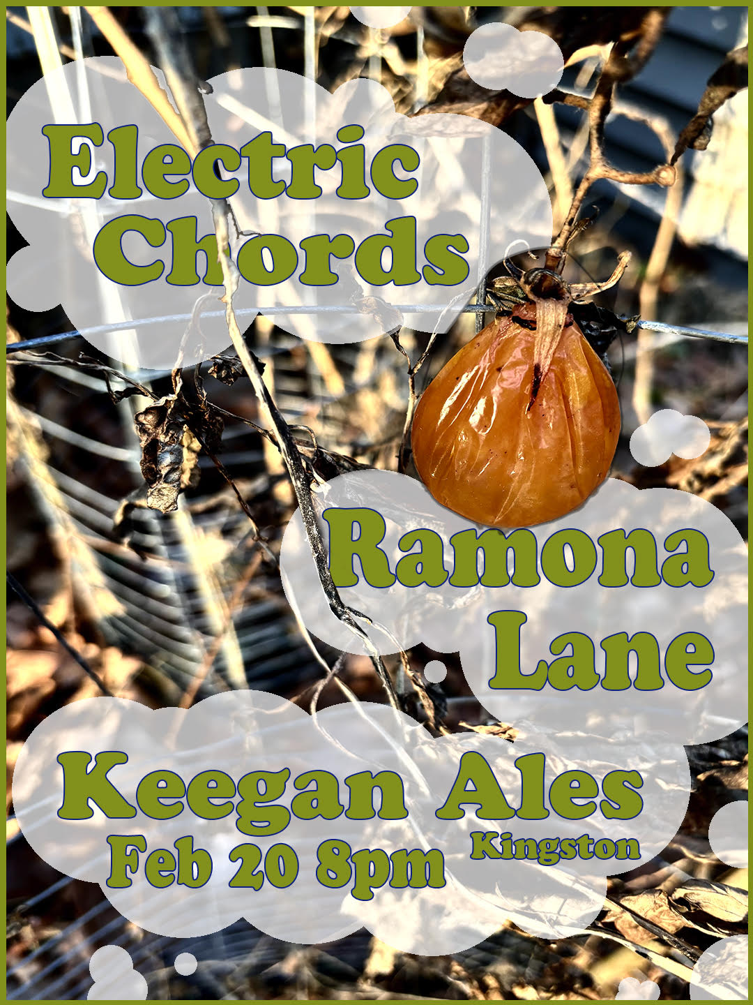 Ramona Lane & Electric Chords