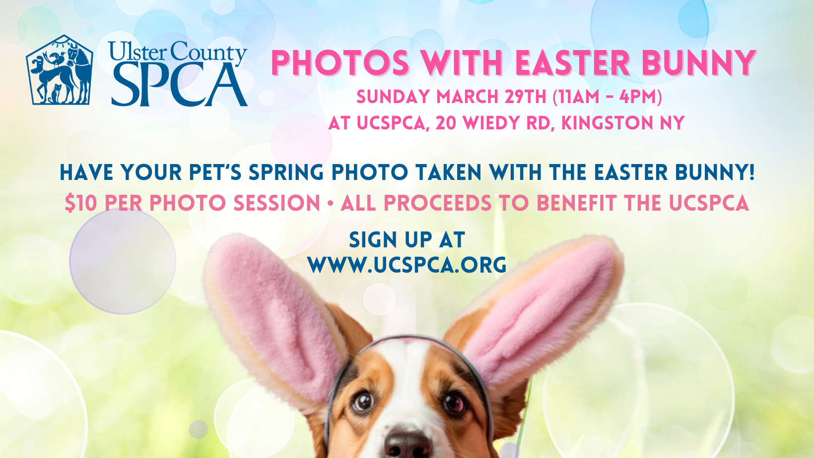Photos With Easter Bunny