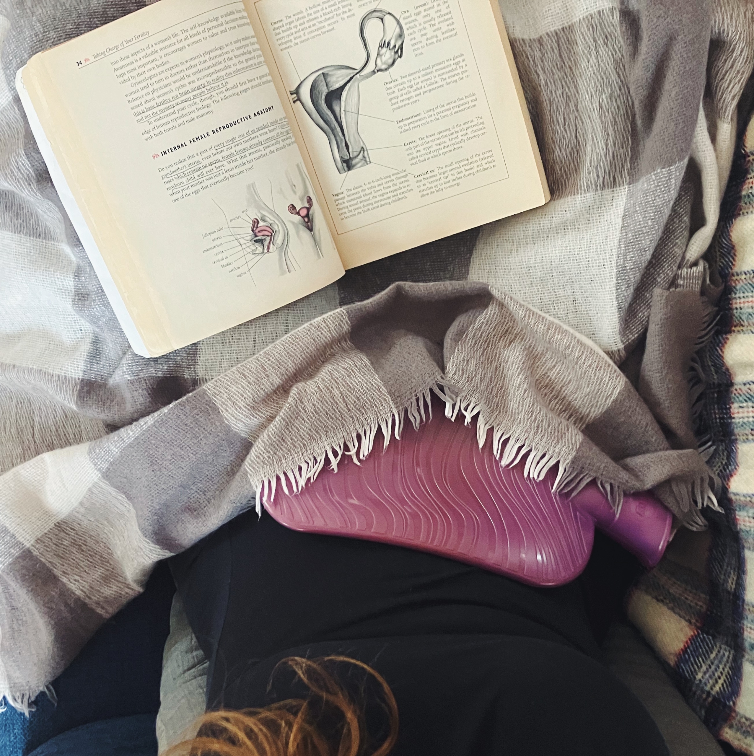 Our Cycles, Ourselves