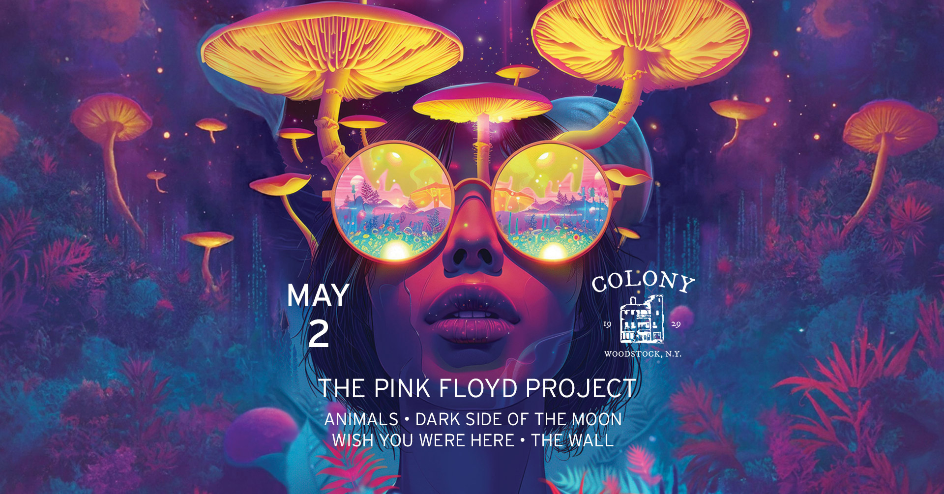 The Pink Floyd Project