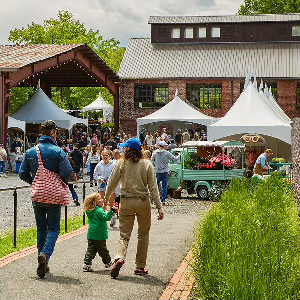 Field + Supply Spring MRKT