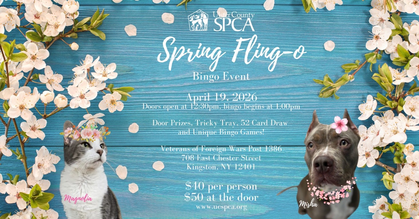 Spring Fling-O