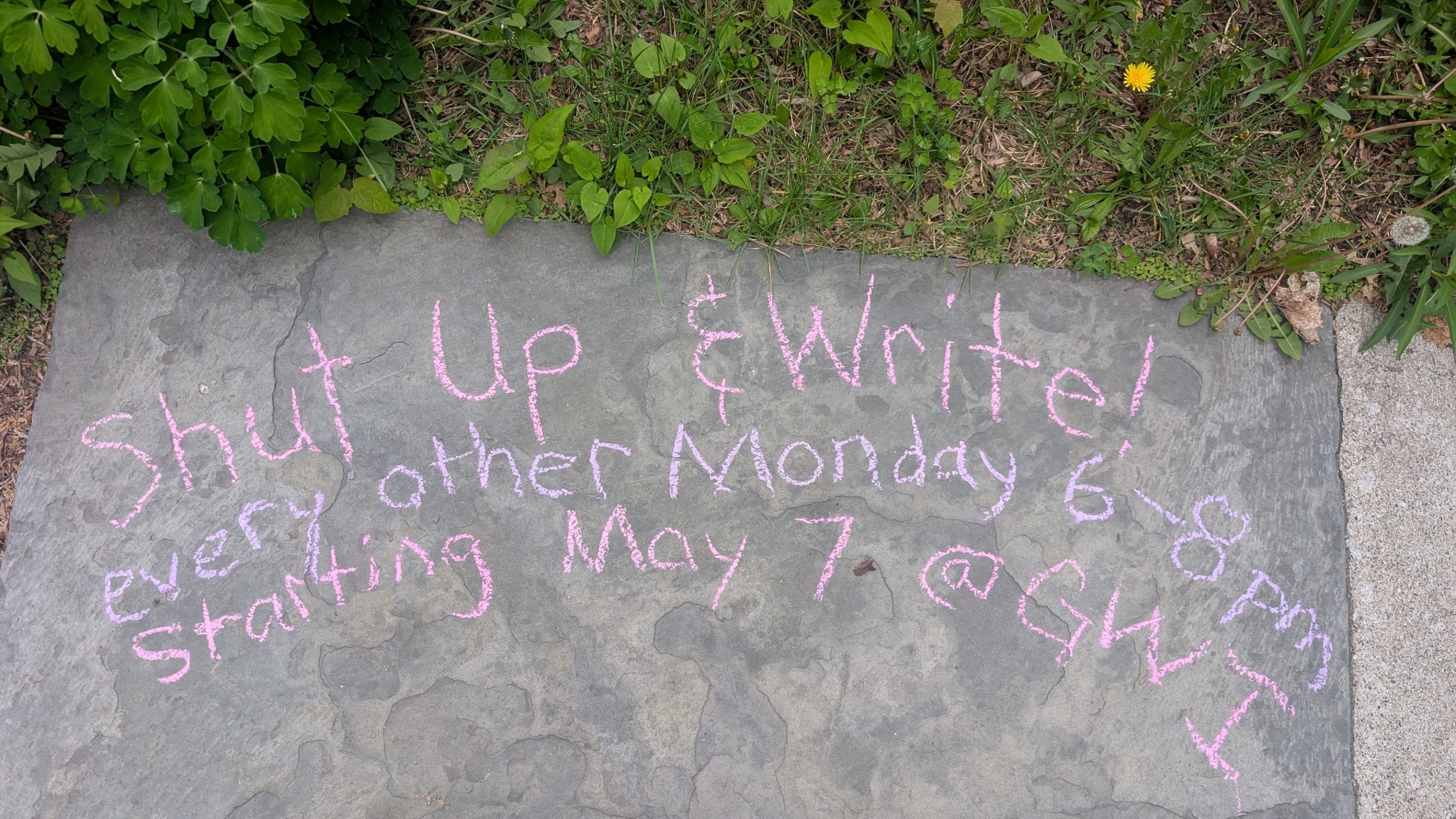 Shut Up and Write