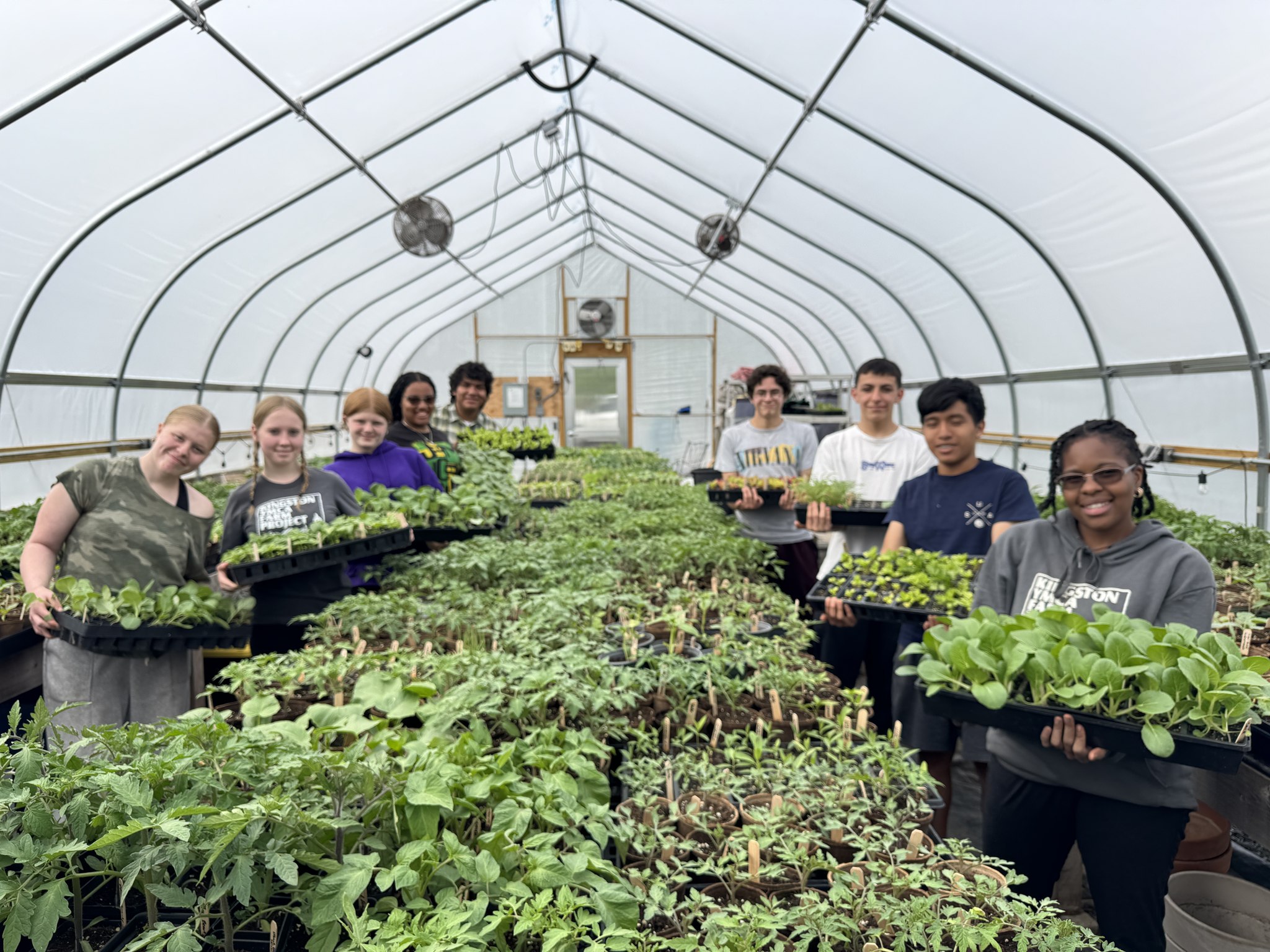 Seedling Sale