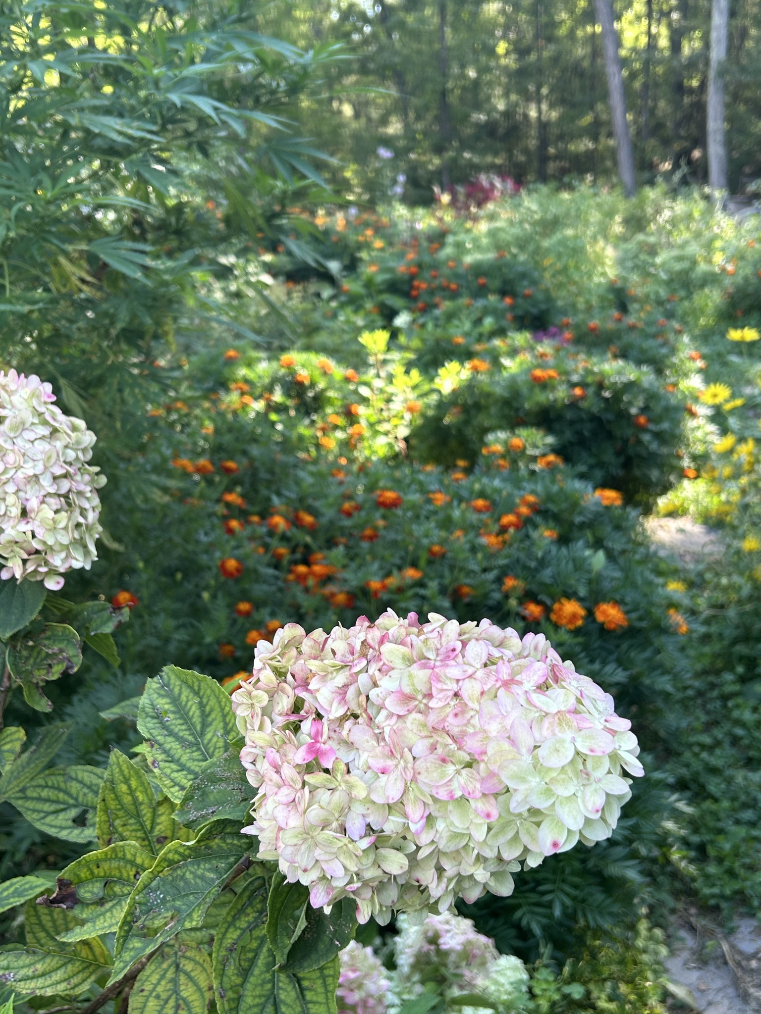 Hudson Valley Plant Exchange