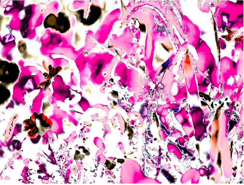 Arts Society of Kingston Presents Three Distinct Summer Exhibitions Exploring Surrealism, Hidden Realities, and the Art of Seeds