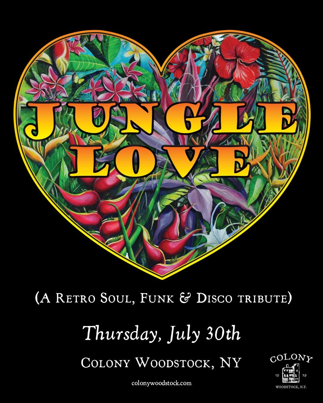 Jungle Love - A Retro Soul, Funk & Disco tribute