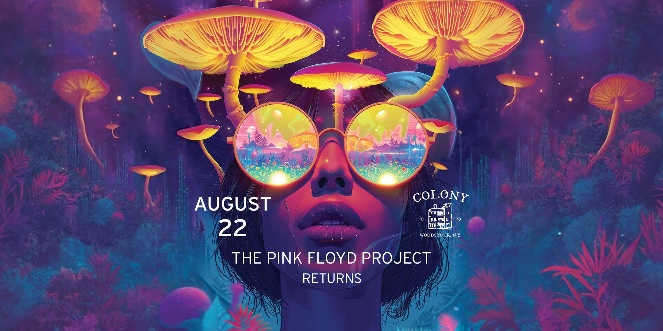 The Pink Floyd Project
