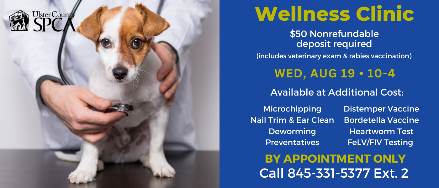 Wellness Clinic