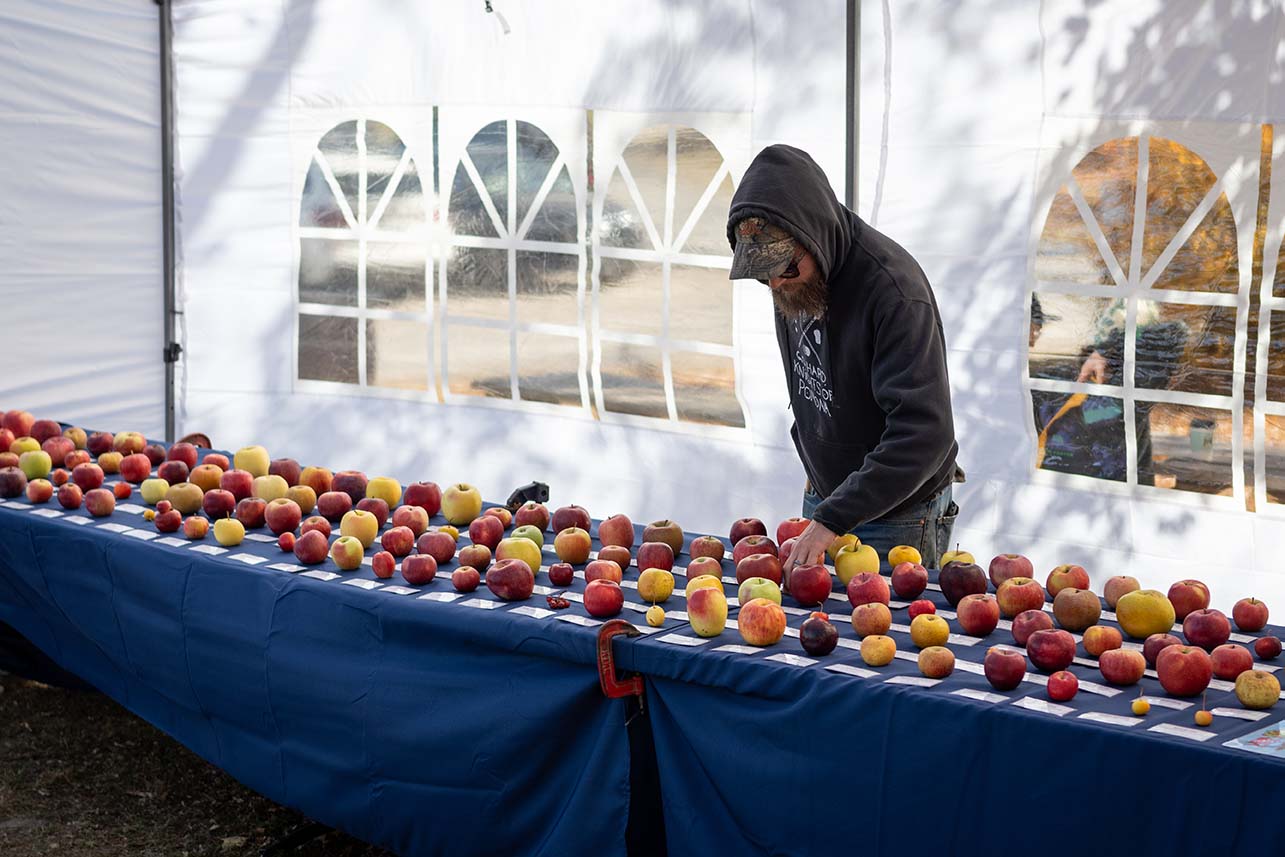 An Apple A Day: The Apples of the Hudson Valley